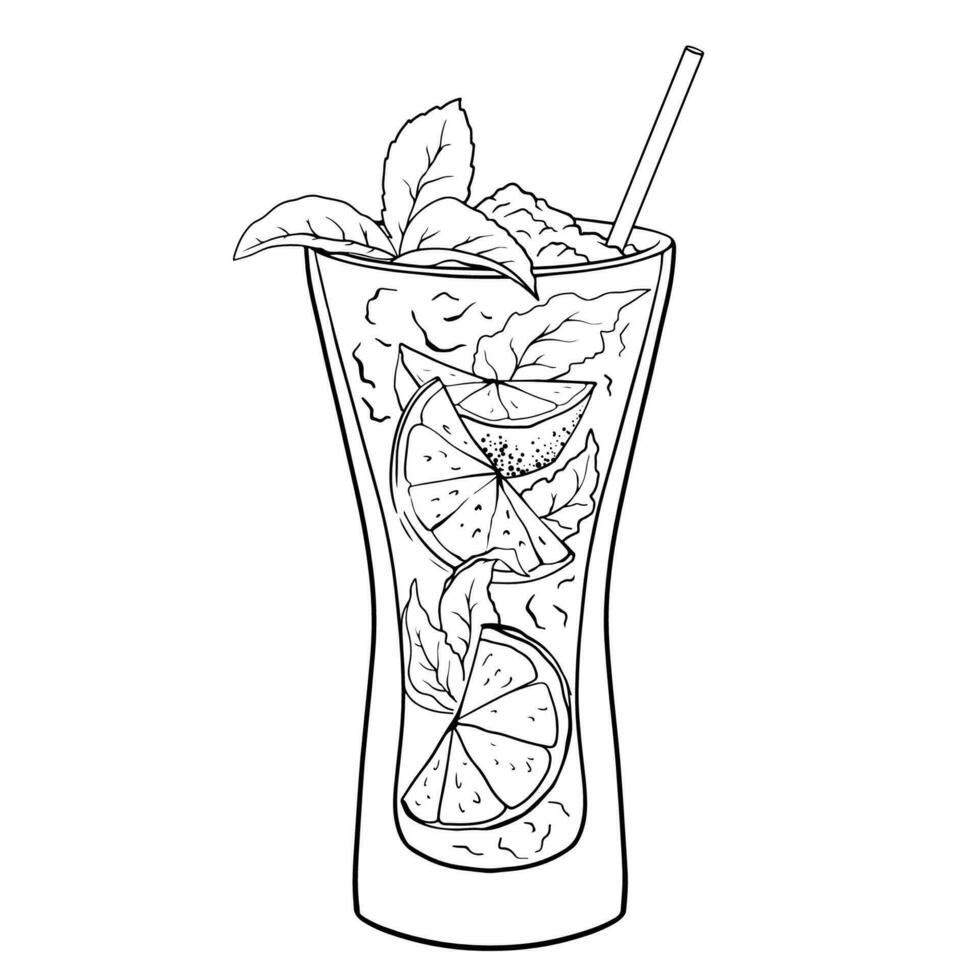 Mojito cocktail, hand drawn cocktail with ice, mint and lime. Vector illustration