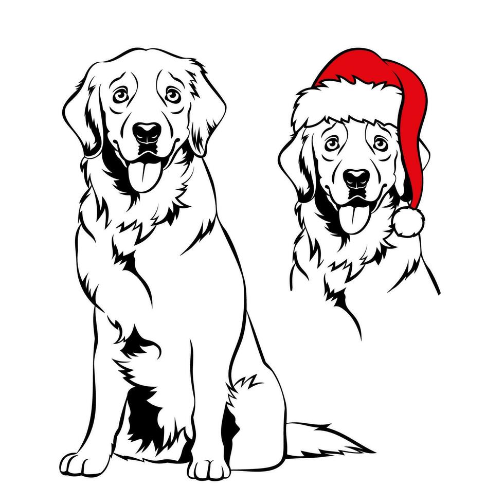 Golden retriver with Santa hat. Christmas Labrador dog portrait. Vector illustration