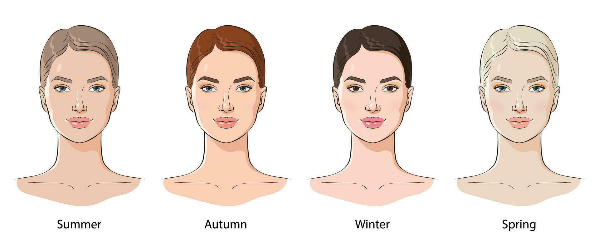 Color types of female appearance, vector illustration