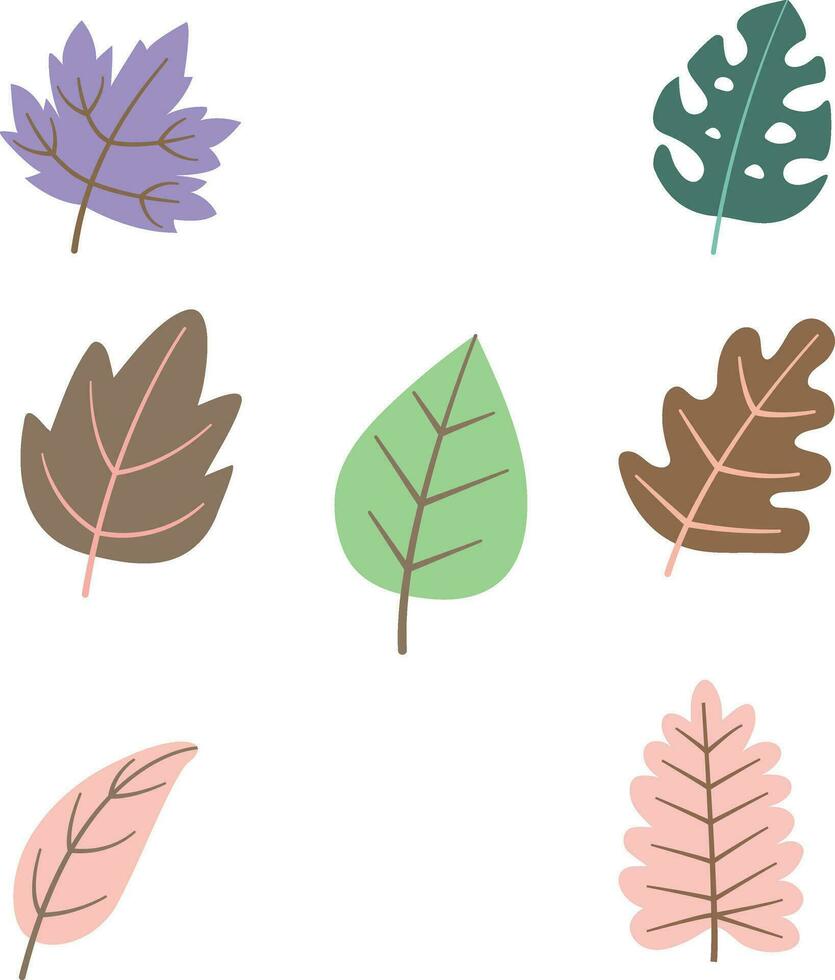 Leaf Simple Decoration isolated on white background.  garden leaves, leaves and dry. Simple cartoon flat style, vector illustration