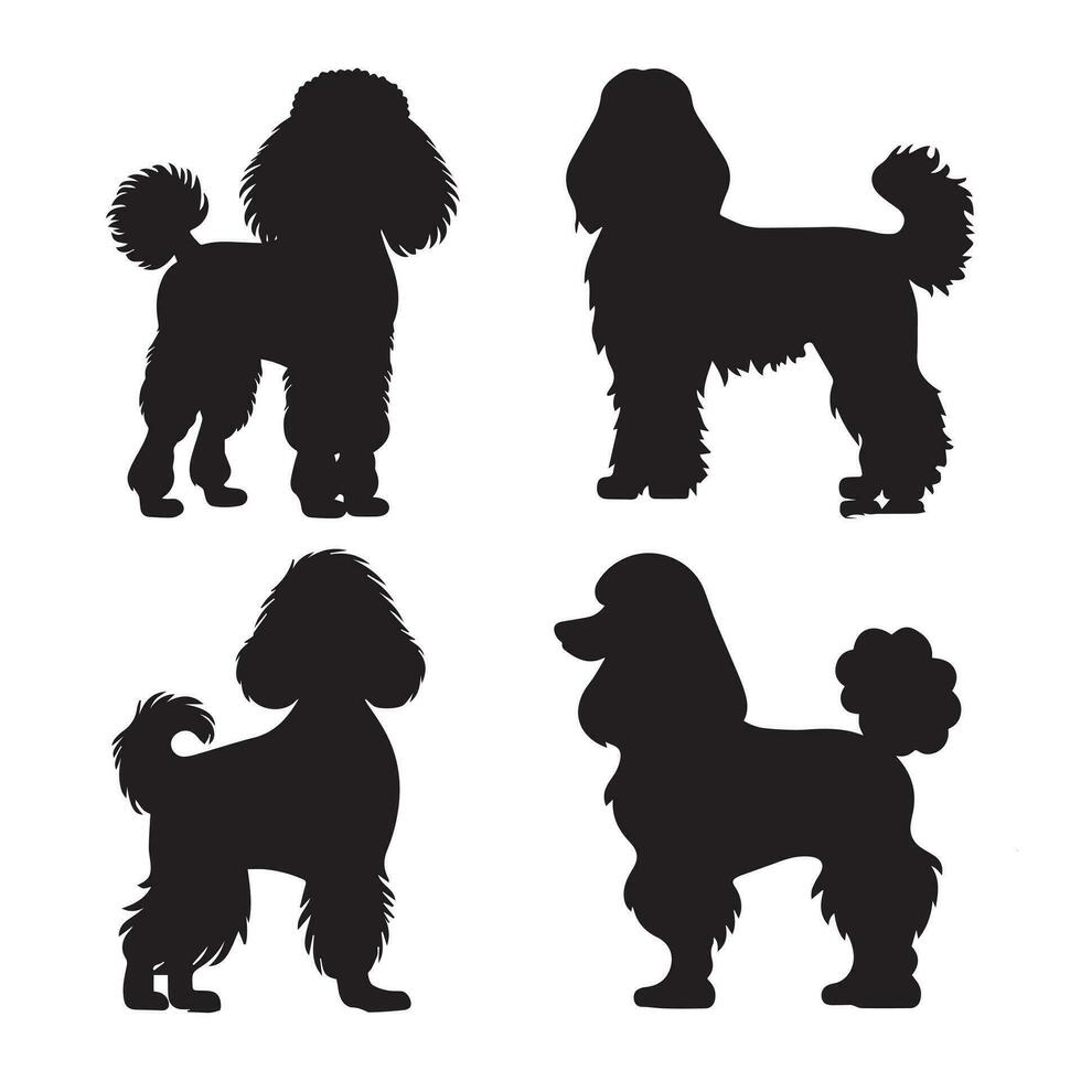 conjunto de caniche silueta caracteres con vector ilustración