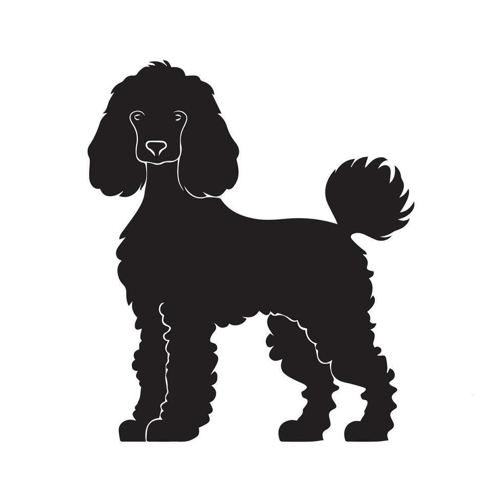 Poodle silhouette characters with vector illustration