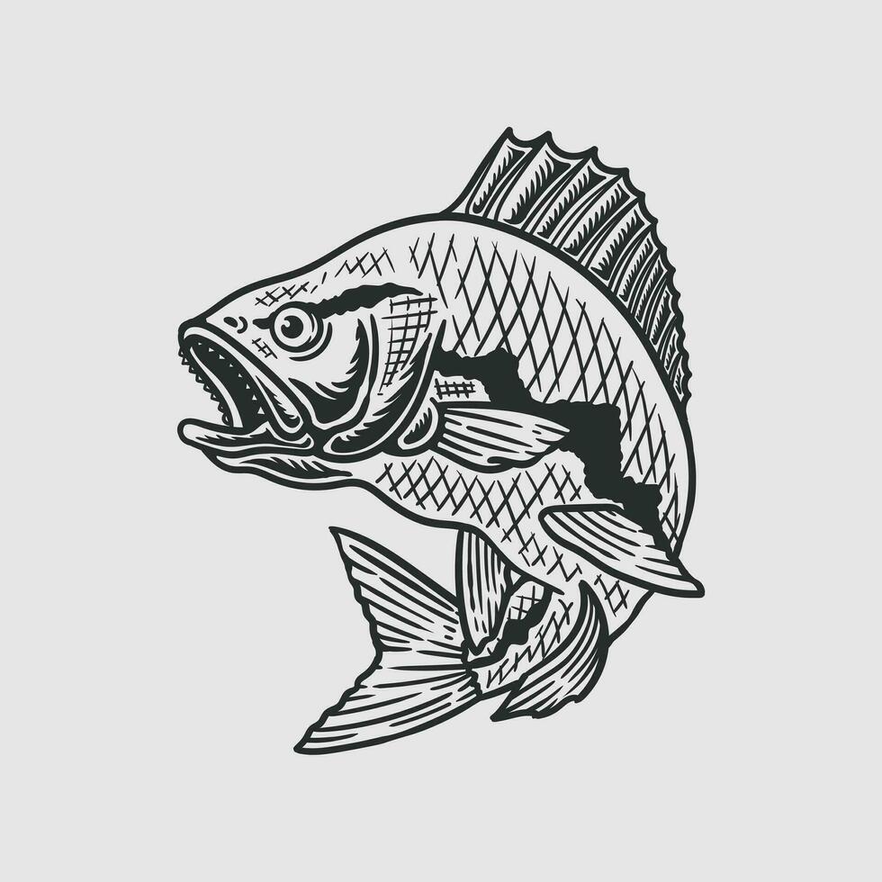 large mouth bass fish hand drawn illustration in vintage style vector