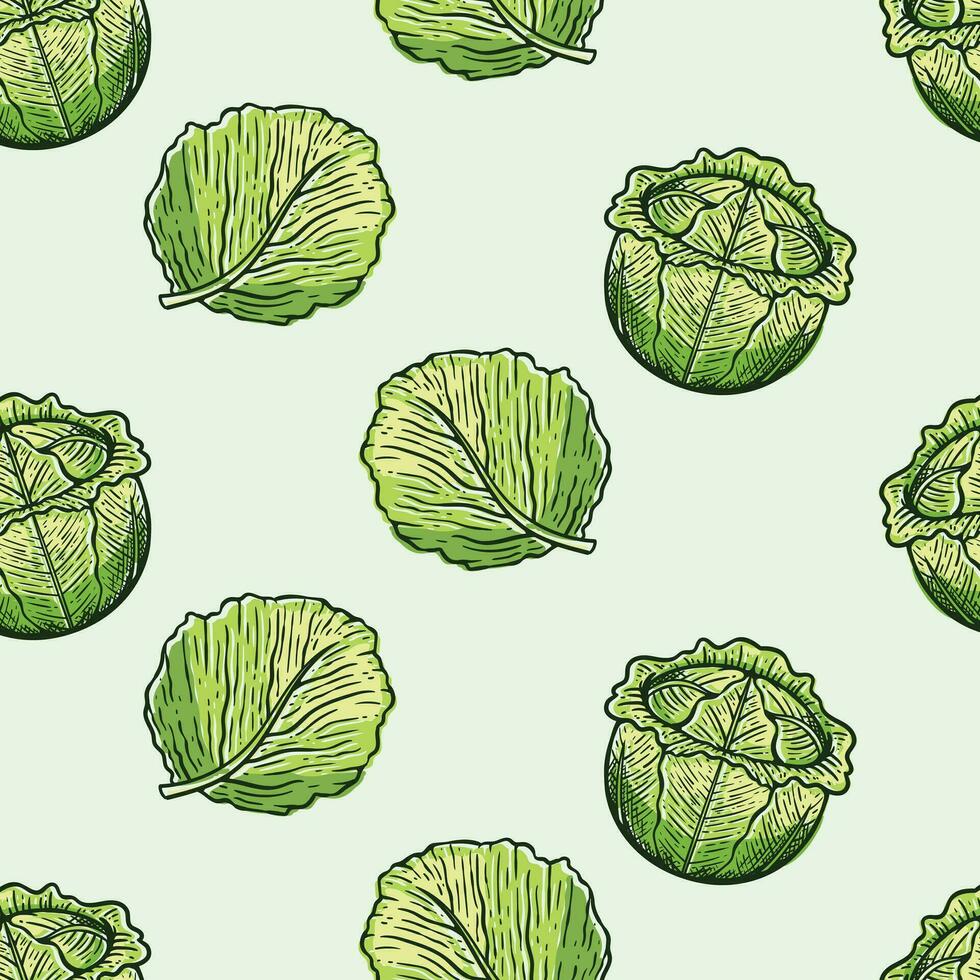 vintage cabbage hand drawn seamless pattern vector