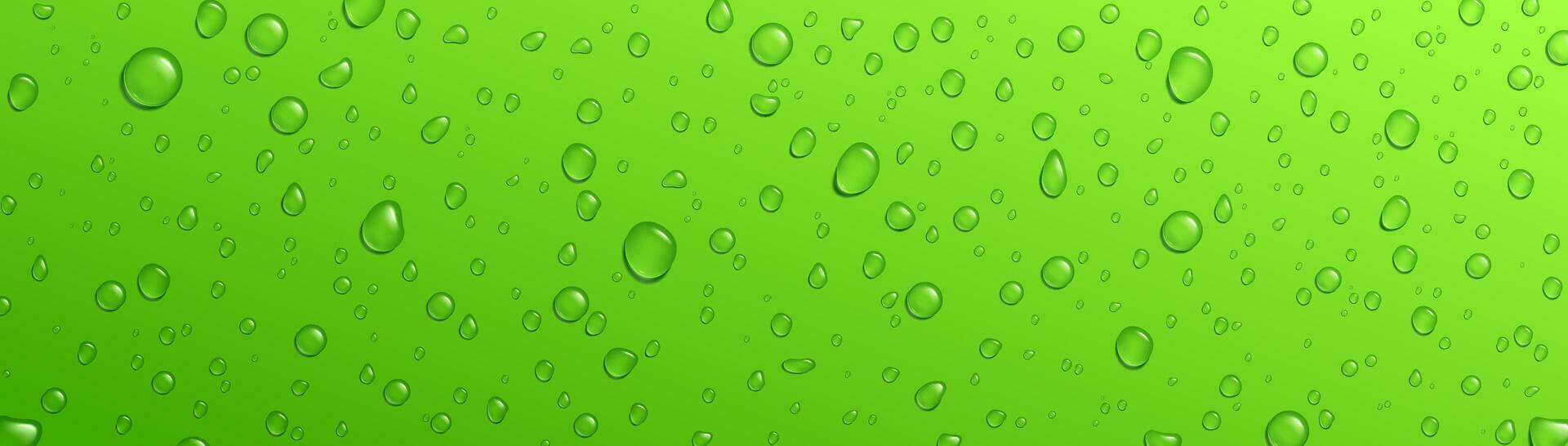Green background fresh rain water drop vector