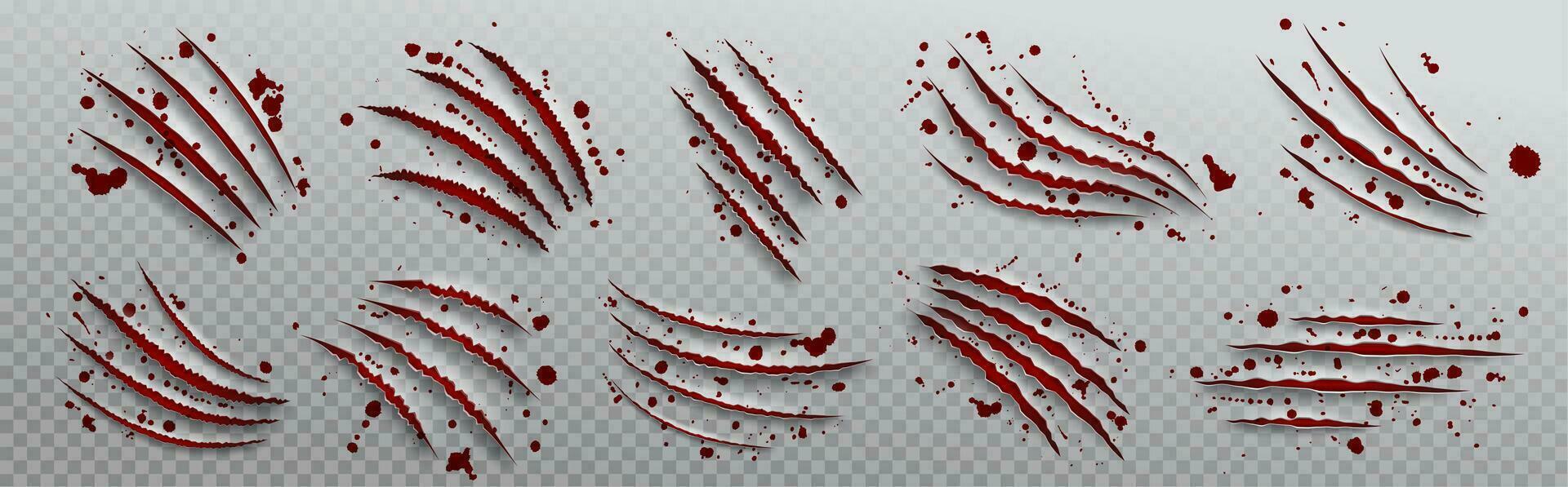 Tiger claw scratch with blood drop vector attack