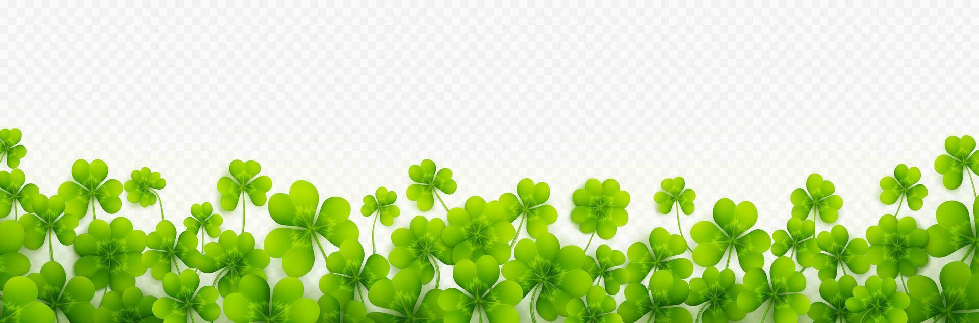 Realistic clover leaves border vector