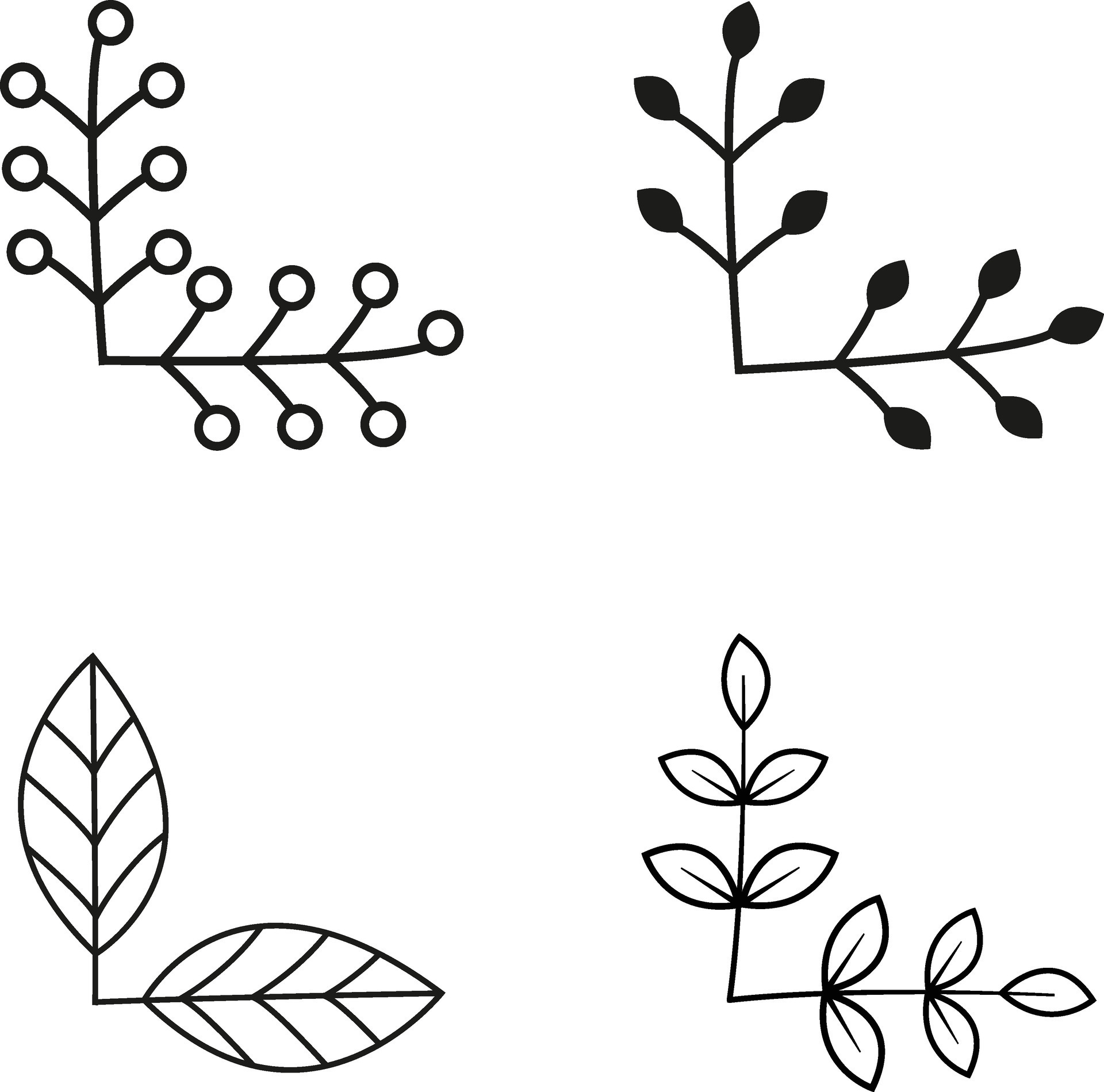 Leaf Corner Frame, floral and leaf ornaments. Isolated vector