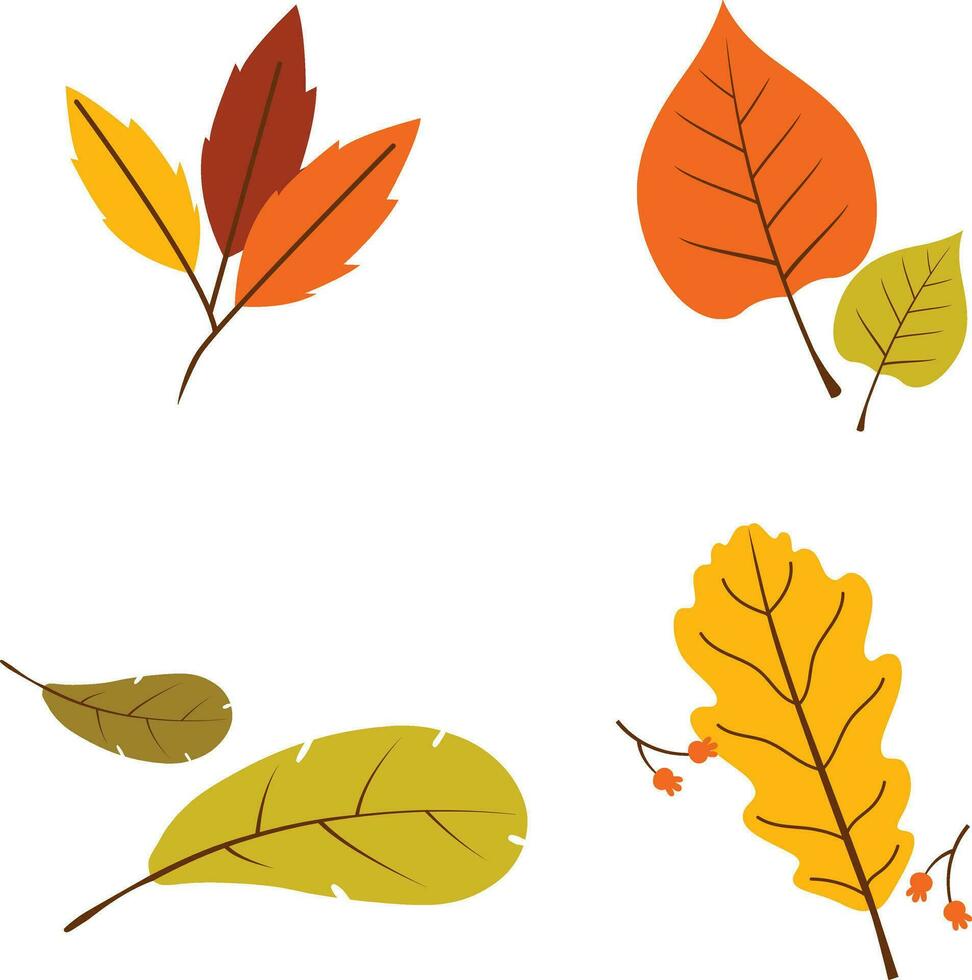 Autumn leaves element set, isolated on white background. simple cartoon flat style, vector illustration.