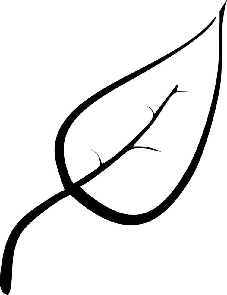 pluma icono símbolo aislado vector imagen. ilustración de el pluma pájaro escritura dibujo icono imagen diseño eps 10