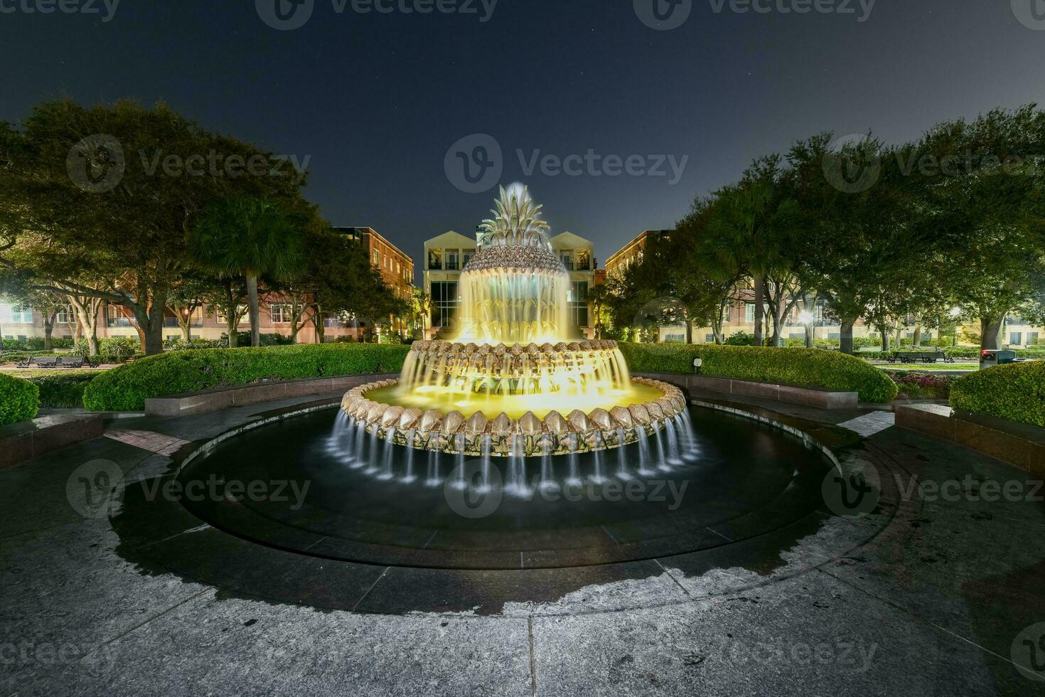 Pineapple Fountain - Charleston, South Carolina photo