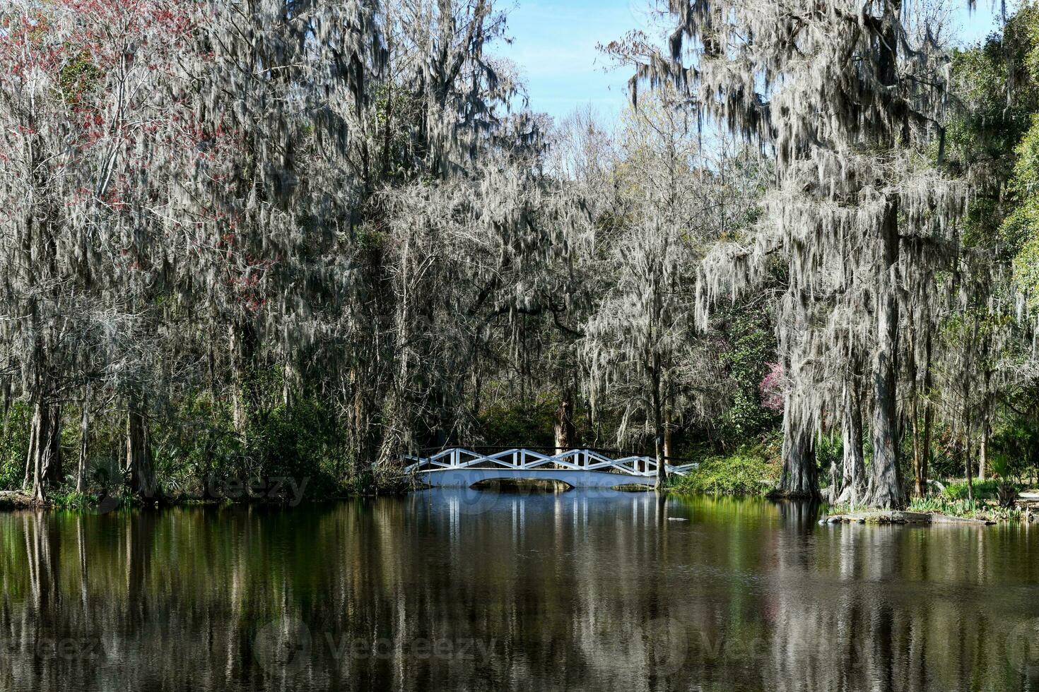 Magnolia Plantation View photo