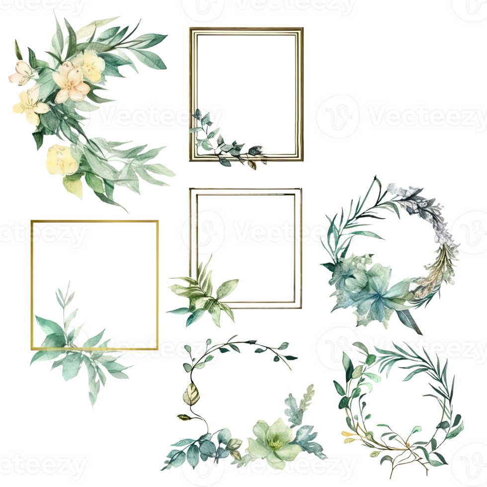 Different Shape Floral Frames Collection png