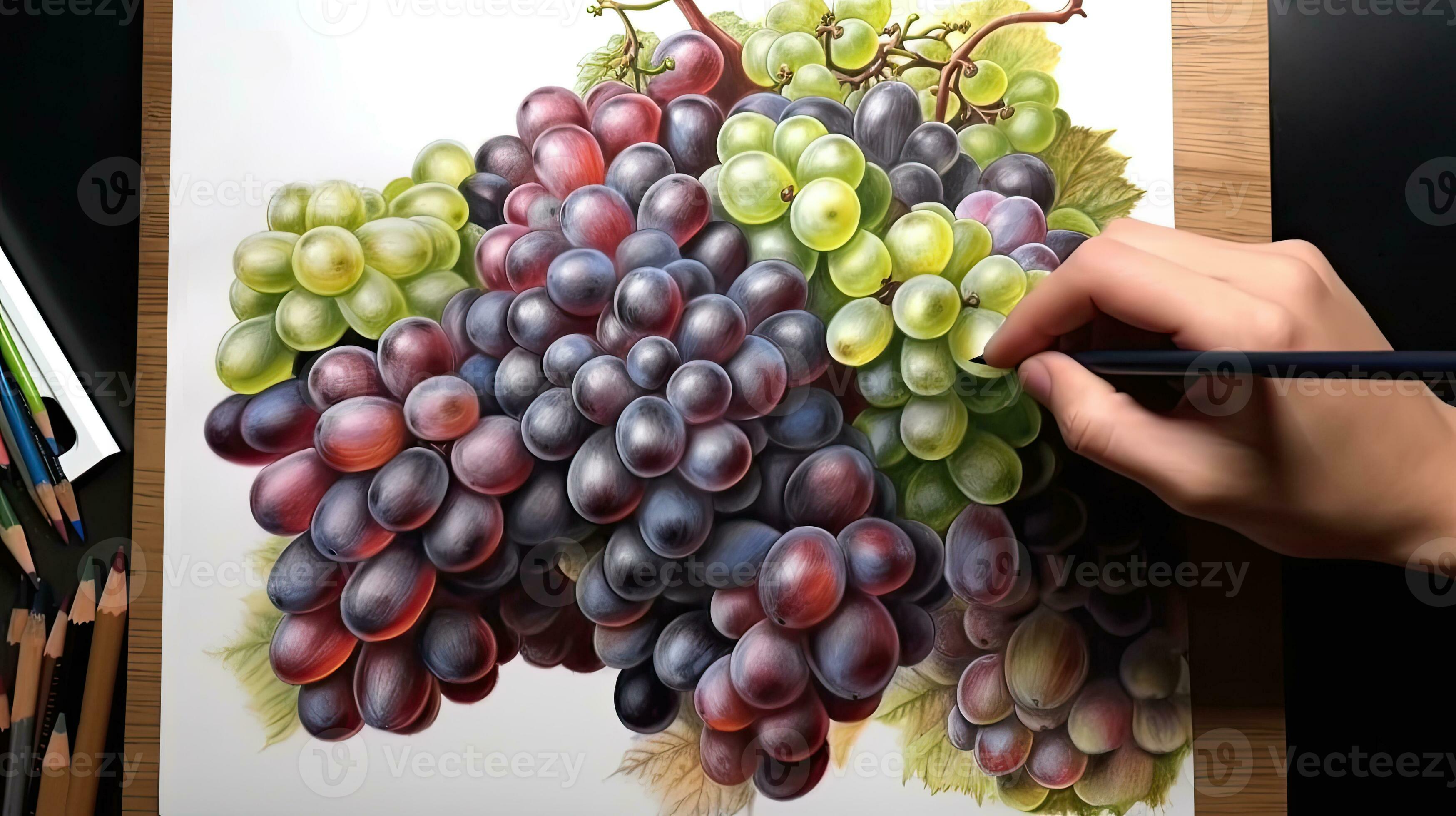Realistic Drawing  How to draw grapes  Video Dailymotion
