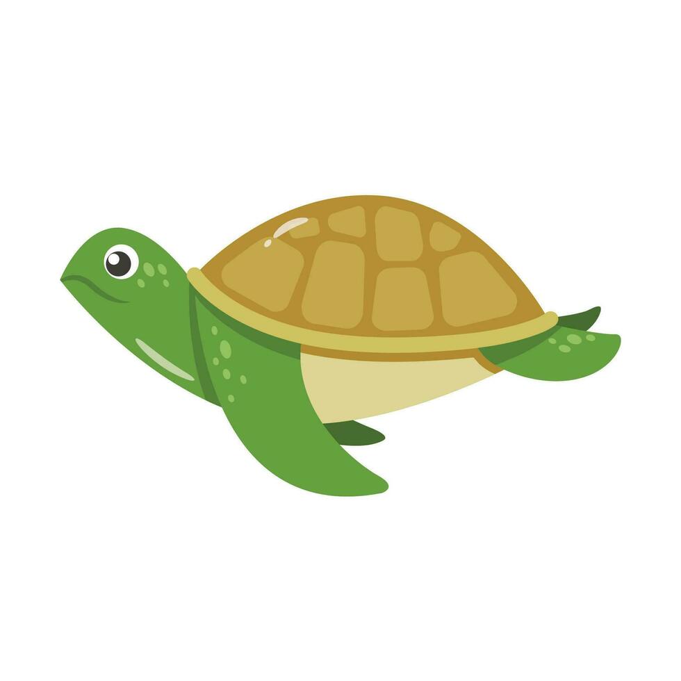 caricatura de tortuga linda vector