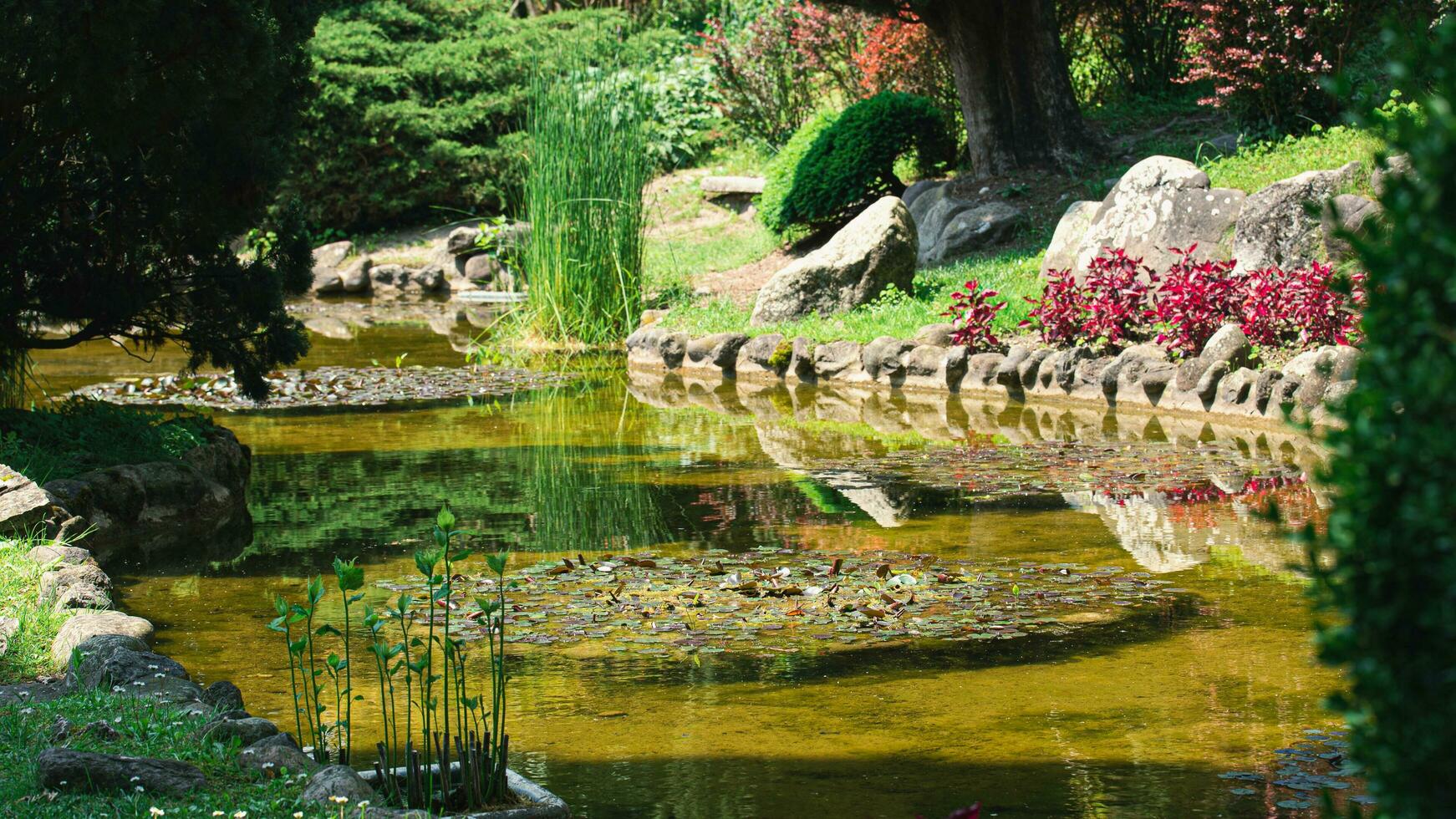 Blossoms in Bloom A Stunning Showcase of Park Garden Flowers photo