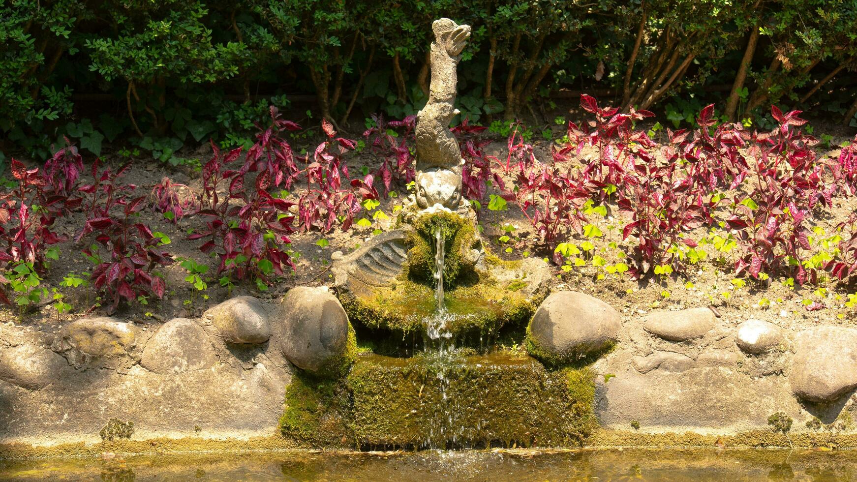 Blossoms in Bloom A Stunning Showcase of Park Garden Flowers photo