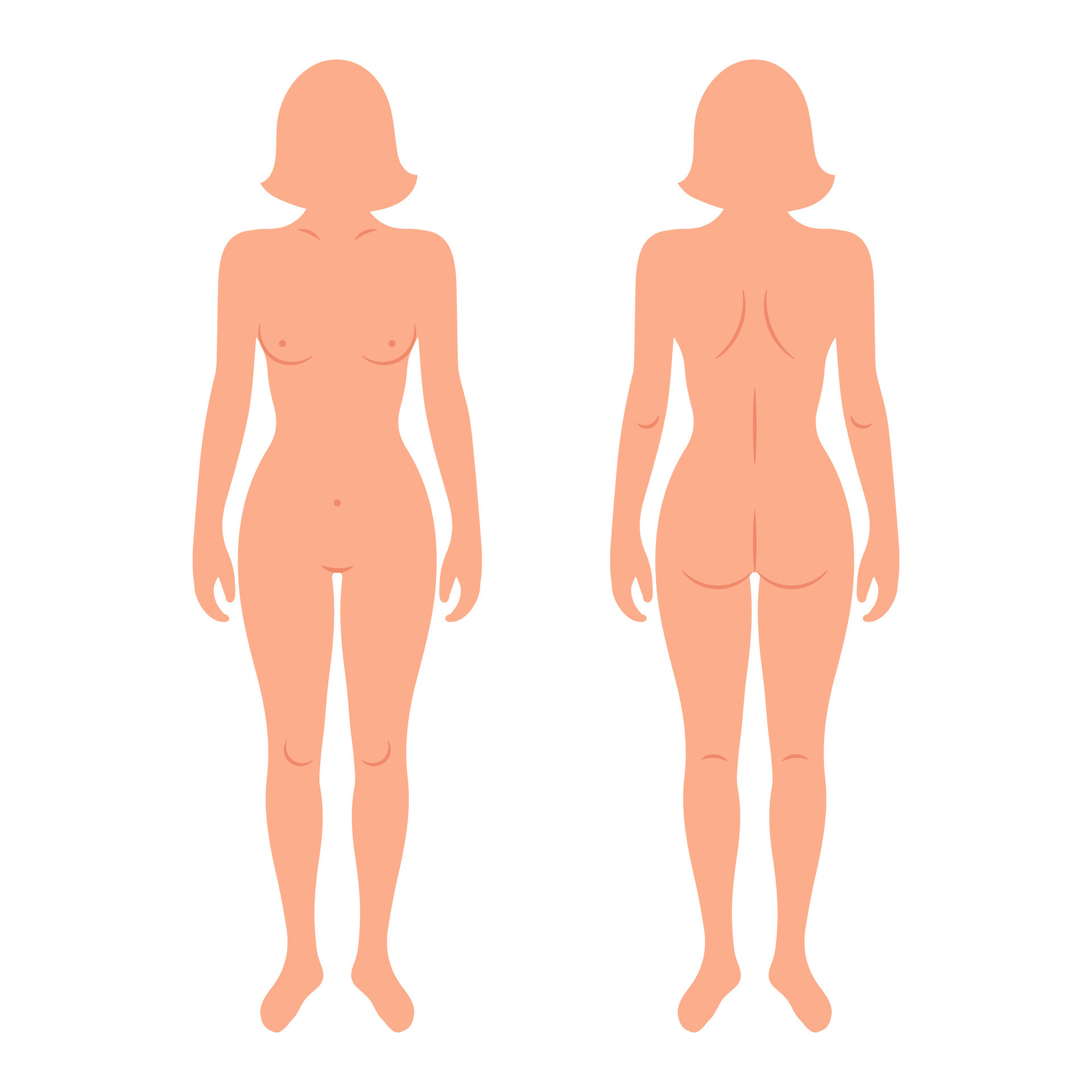 Back and front silhouettes of female human body. Anatomy. Medical and  scientific concept. Illustration, vector 25464322 Vector Art at Vecteezy