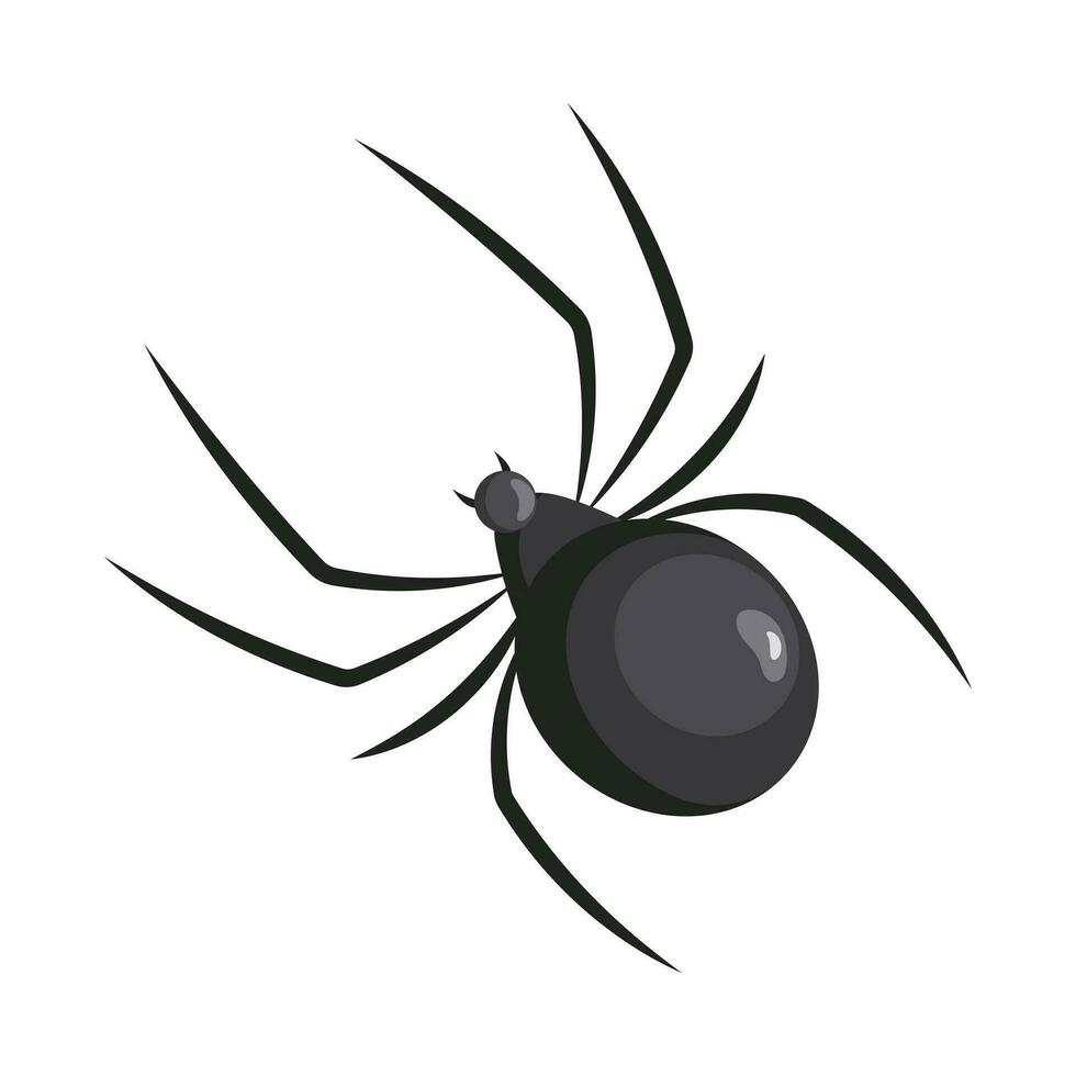 Spider on a white background. Insects. Illustration, icon, vector