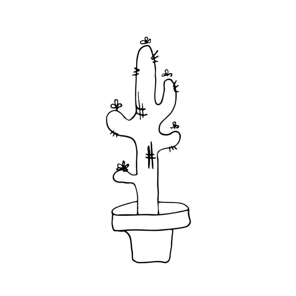 Cactus. Line art hand drawn illustration. Black vector sketch isolated on white.