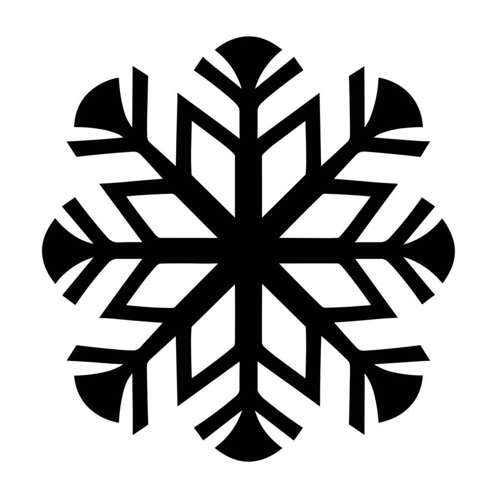 Beautiful Merry Christmas Snowflake vector