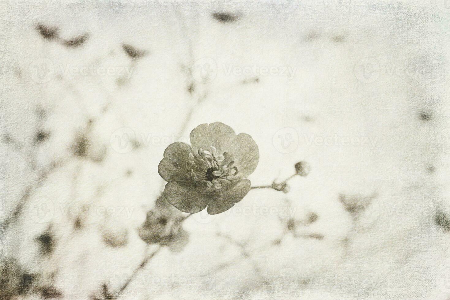 small original delicate free field flowers on a light background photo