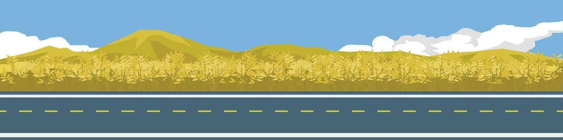 Cartoon transport asphalt road for banner. Besid of road with wheat field gold color.  Mountain and blue sky with white clouds. Copy Space Flat Vector. vector