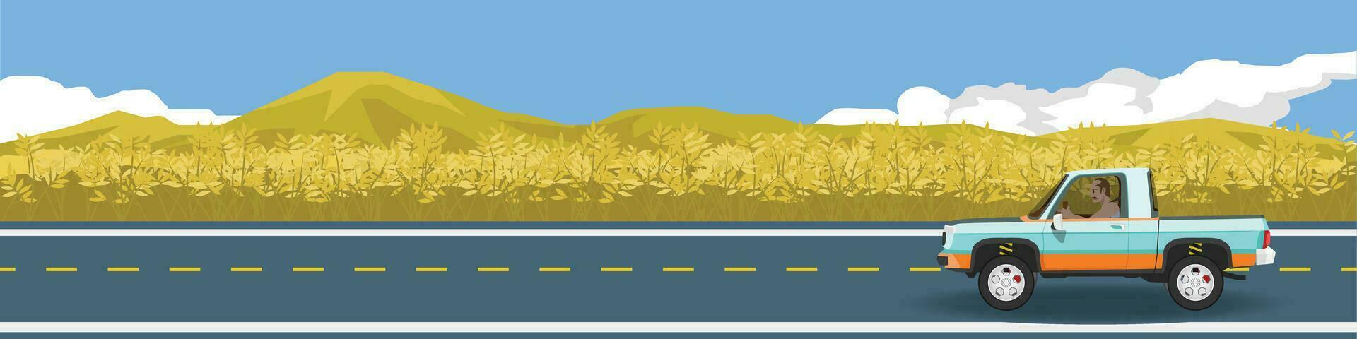 Farmland and pickup trucks for banner. Car pickup truck for travel with old man driving. Besid of road with wheat field gold color. Mountain and blue sky with white clouds. Copy Space Flat Vector. vector