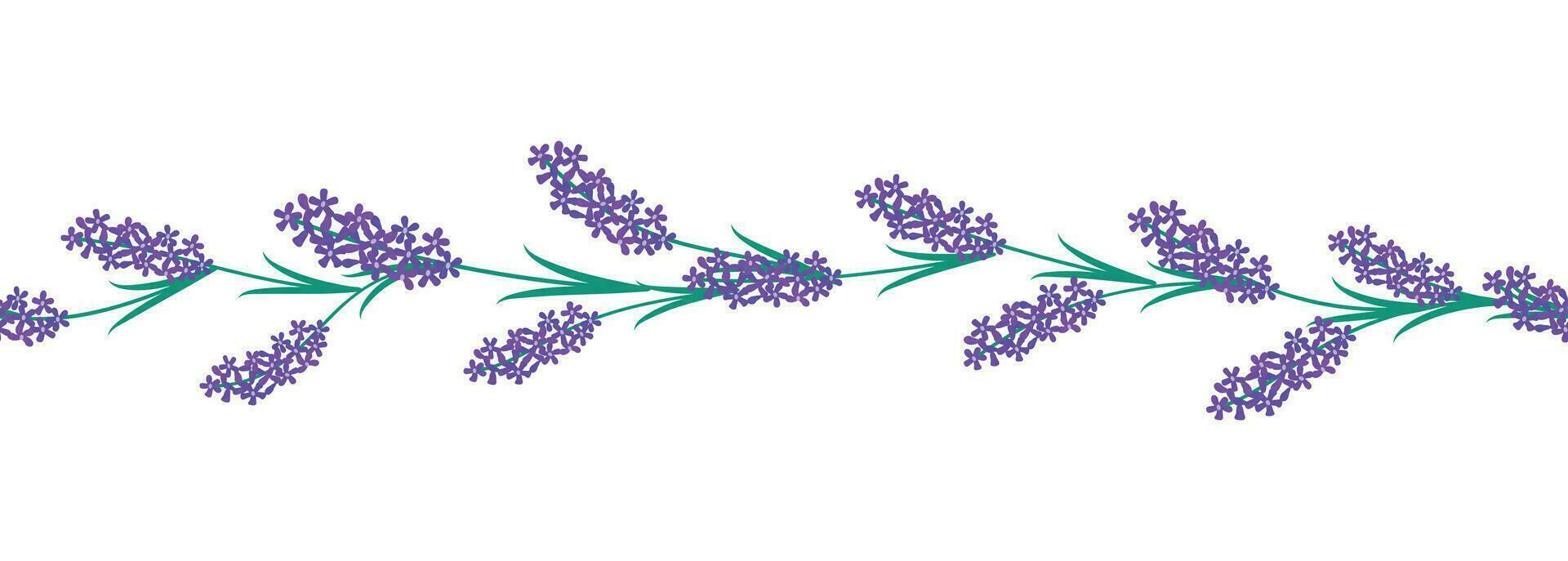 Floral seamless border. vector