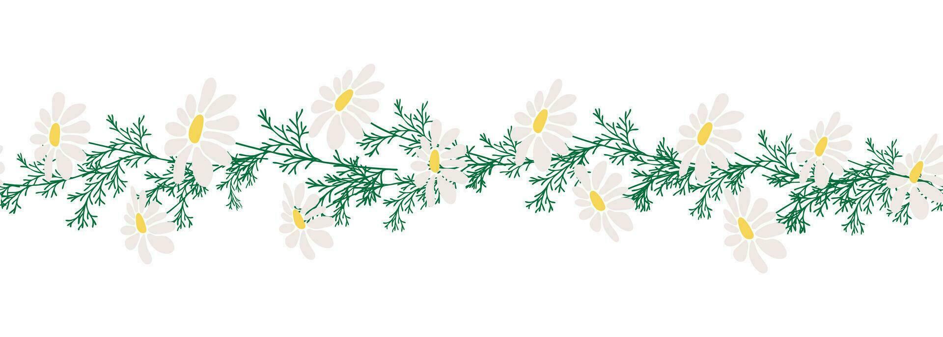 Chamomile horizontal border seamless pattern vector