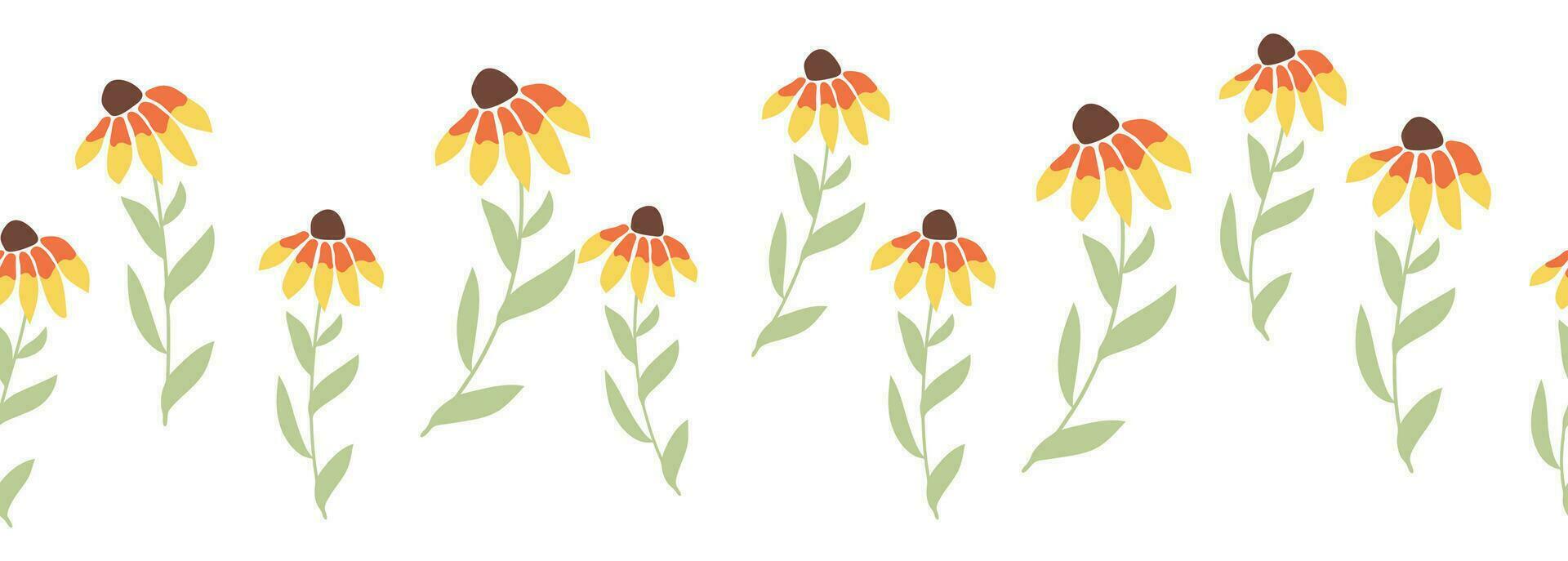 Rudbeckia manzanilla horizontal frontera sin costura modelo vector