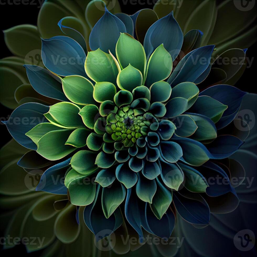 Flower with a blue and green design. . photo