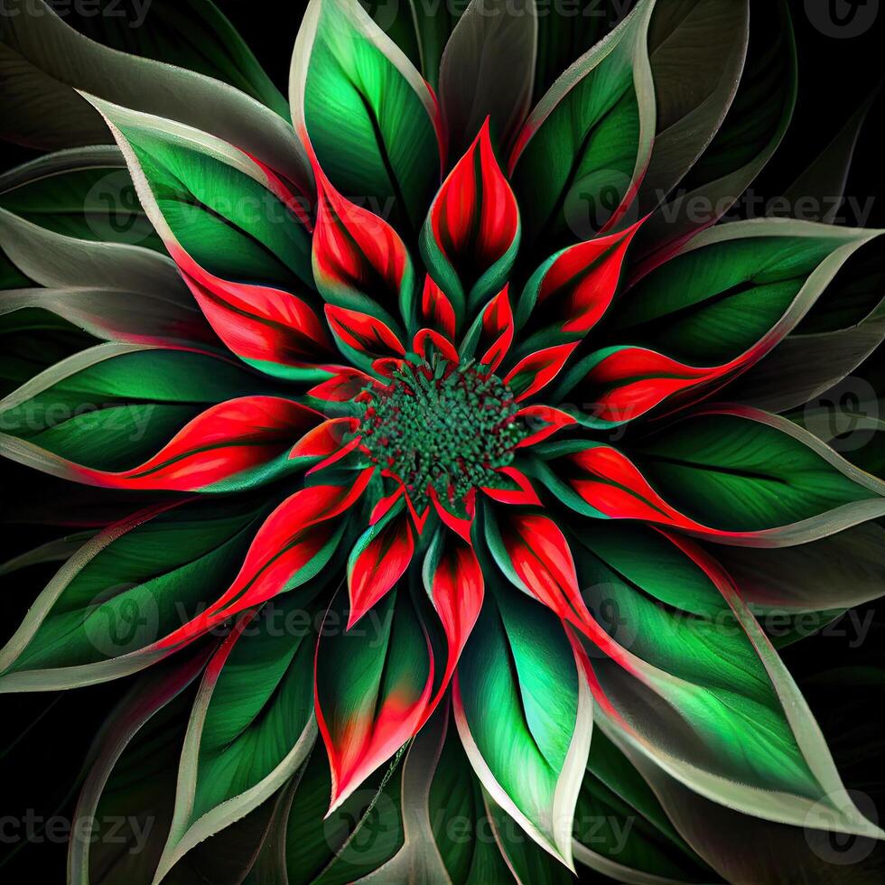 Flower with a green and red design. . photo