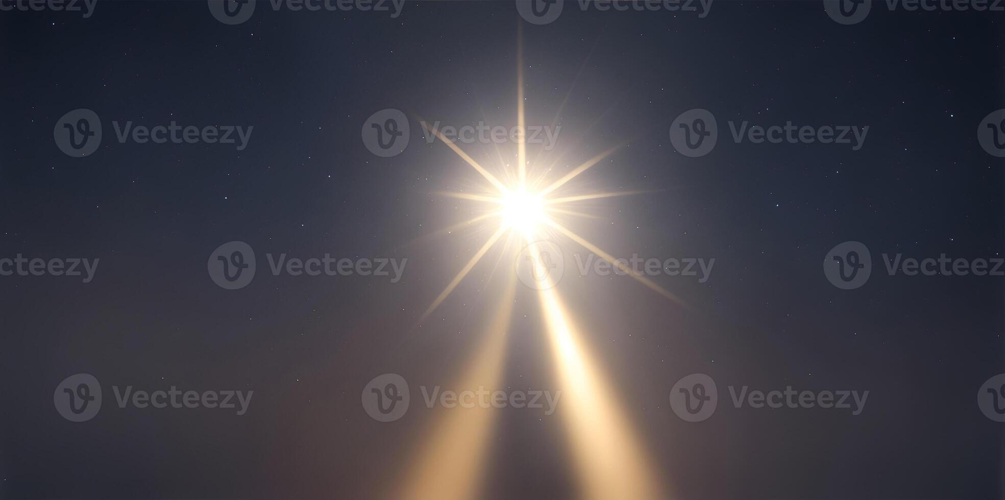A single star receiving light from above. One standing star. Shallow depth of field. photo