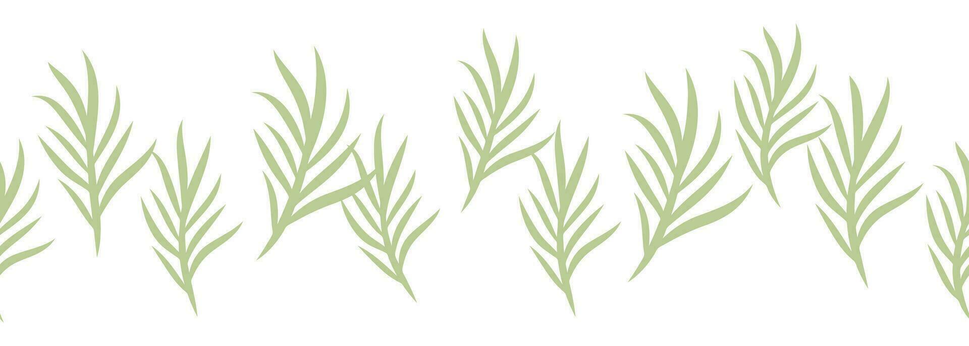 Leaves decorative, algae horizontal border seamless pattern vector