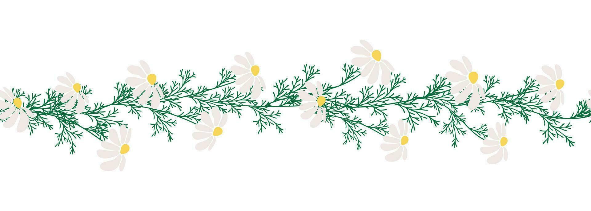 Chamomile horizontal border seamless pattern vector