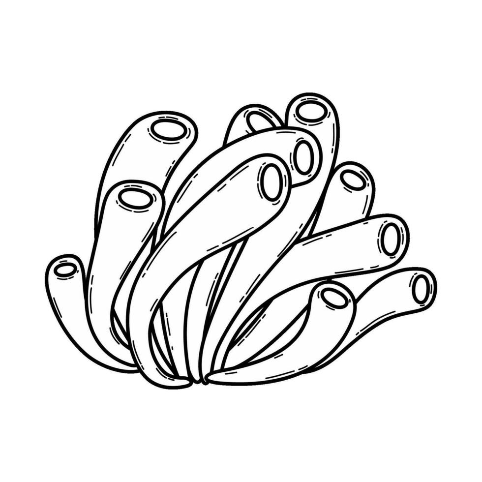 Hand drawn outline of a coral. Sketch sea reef. Underwater ocean creature. Monochrome marine illustration isolated on a white background. vector