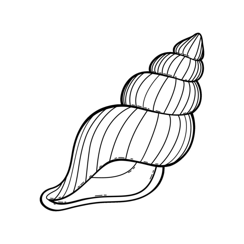 Vector outline of underwater seashell. Undersea shellfish. Hand drawn contour sketch of an ocean animal. Isolated black and white clipart on white background on marine theme.