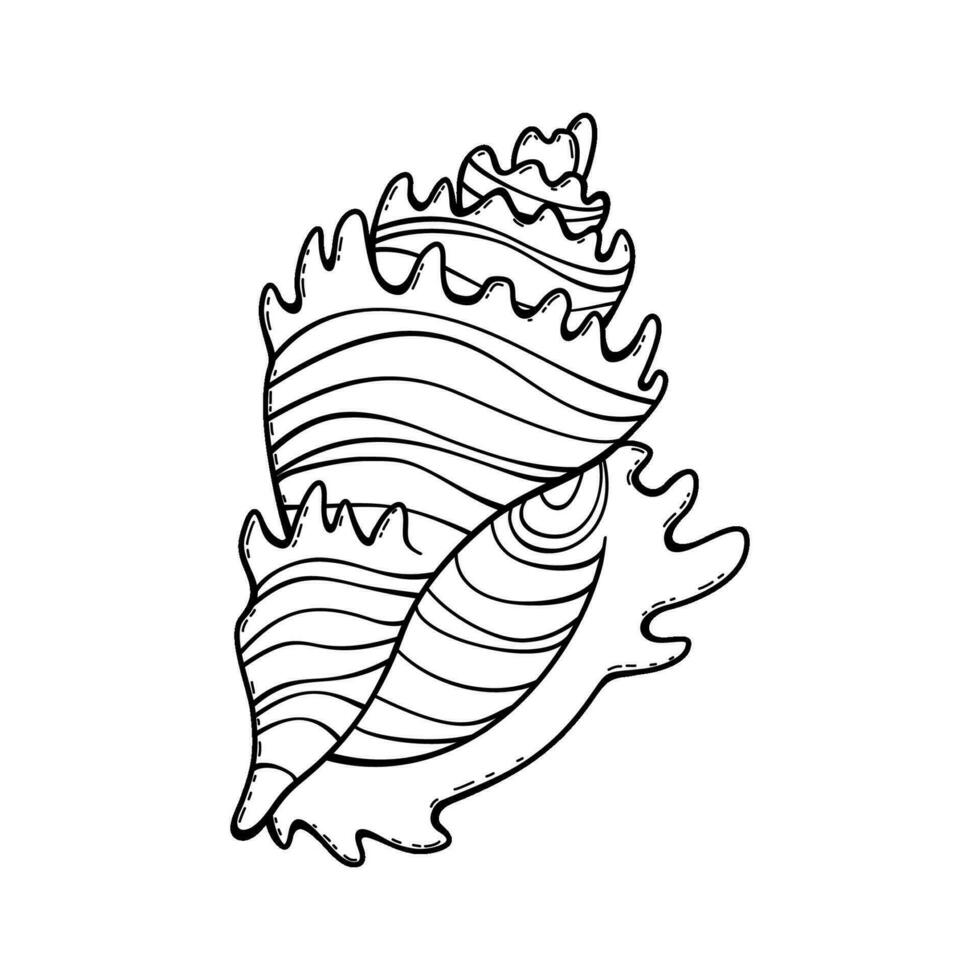 Vector outline of underwater seashell. Undersea shellfish. Hand drawn contour sketch of an ocean animal. Isolated black and white clipart on white background on sea theme.