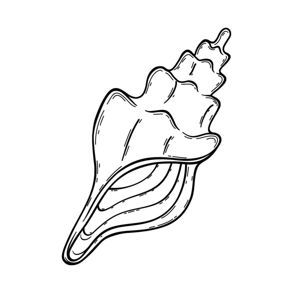 Vector outline of underwater seashell. Undersea shellfish. Hand drawn contour sketch of an ocean animal. Isolated black and white clipart on white background on marine theme.