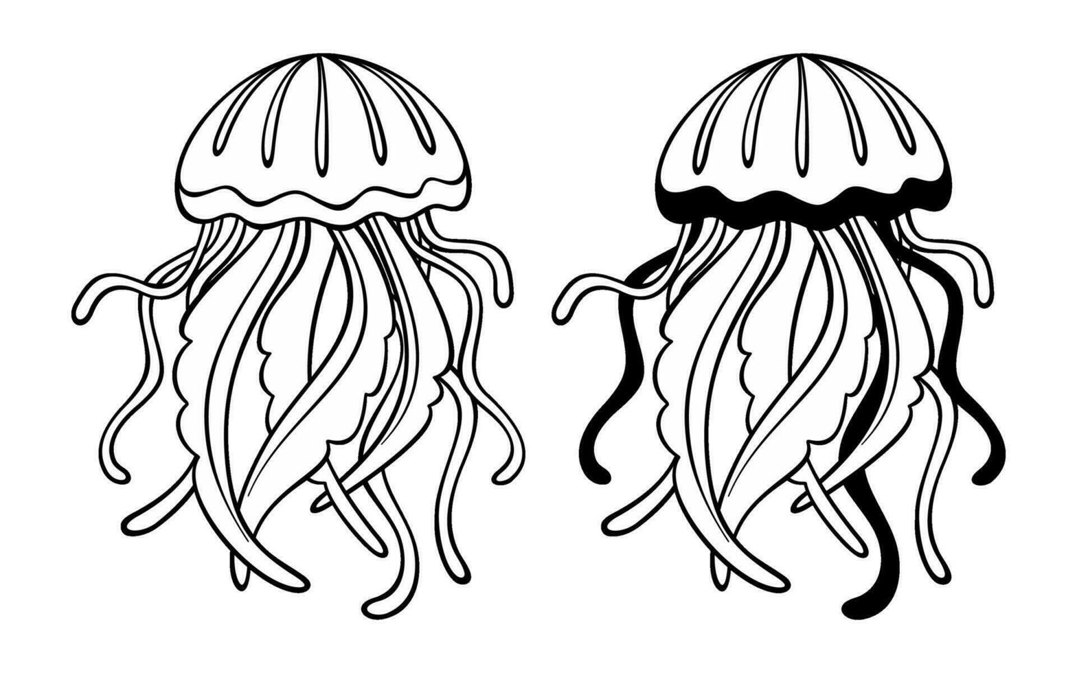 Vector jellyfish. Isolated black and white sketch of sea animal on a white background.
