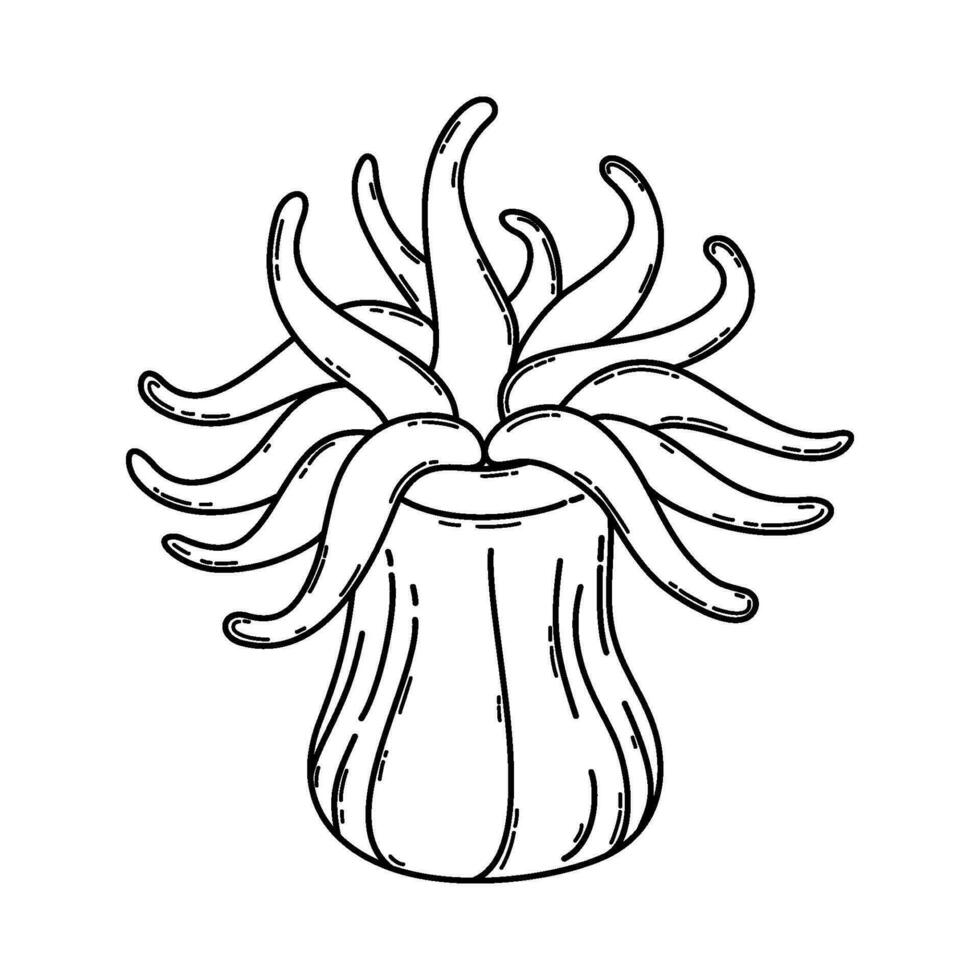 Black and white outline of sea anemone. Actinia. Underwater creature. Monochrome vector clipart of ocean animal isolated on a white background. Illustration on a nautical theme.