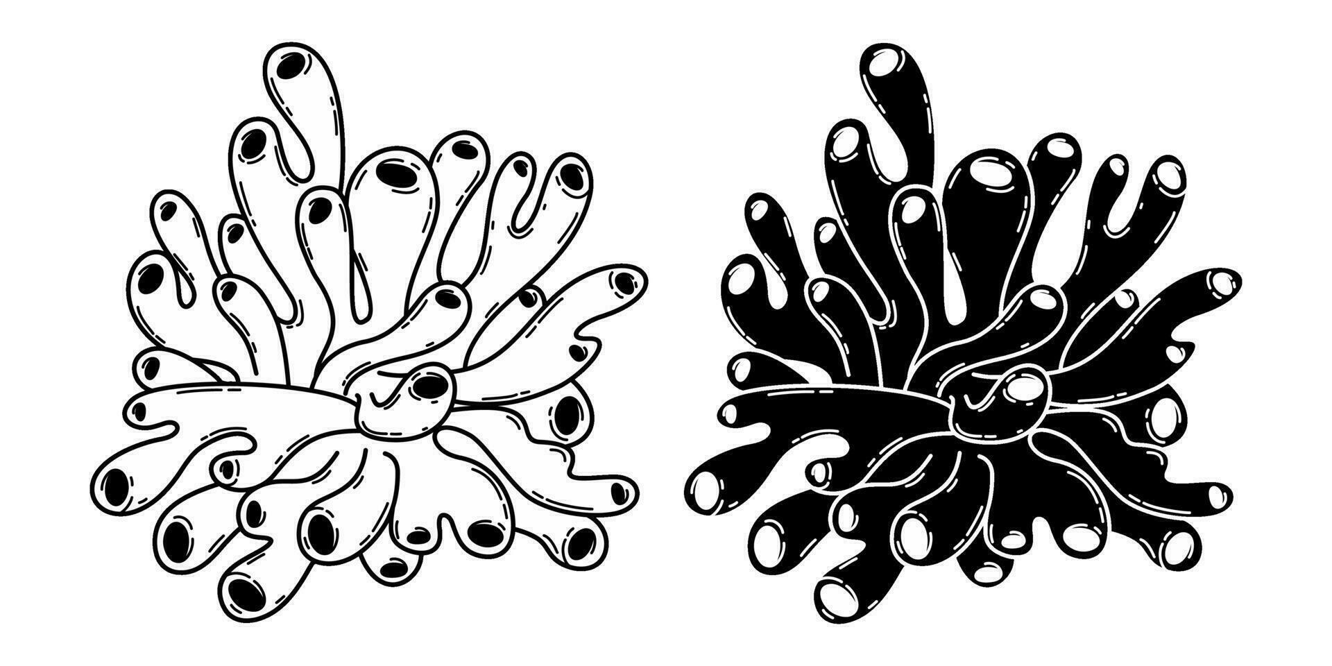 Outline and silhouette of a coral. Sketch sea reef. Underwater ocean creature. Black and white marine illustration isolated on a white background. vector