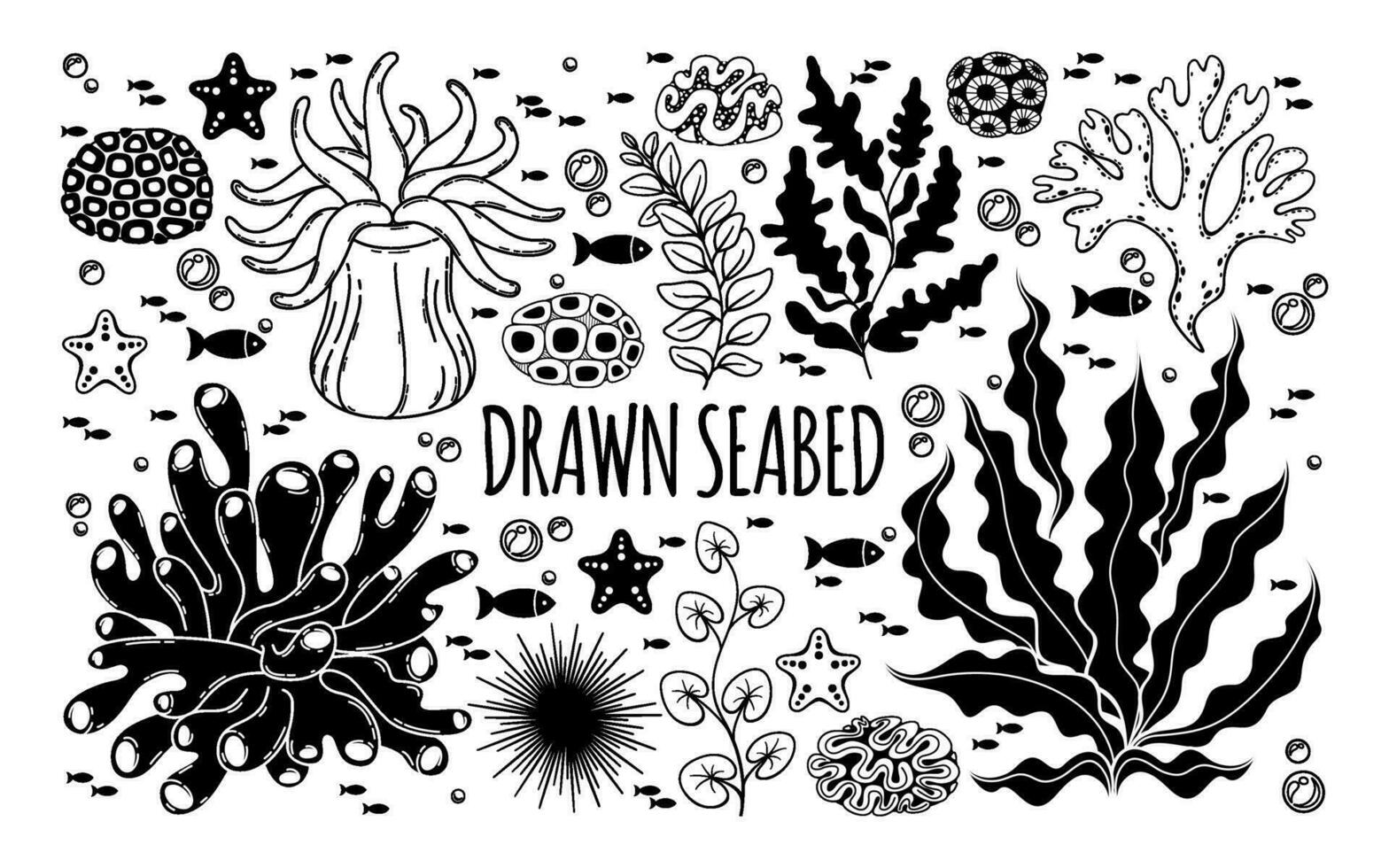 Collection with algae, corals, sea anemones, sea urchin, starfish and fishes. Vector black and white set. Outline and silhouette.