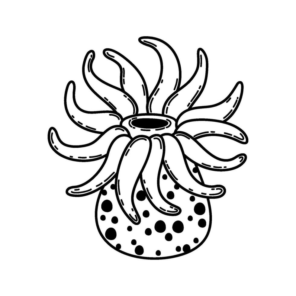 Sea anemone. Actinia. Vector illustration on a nautical theme isolated on a white background.