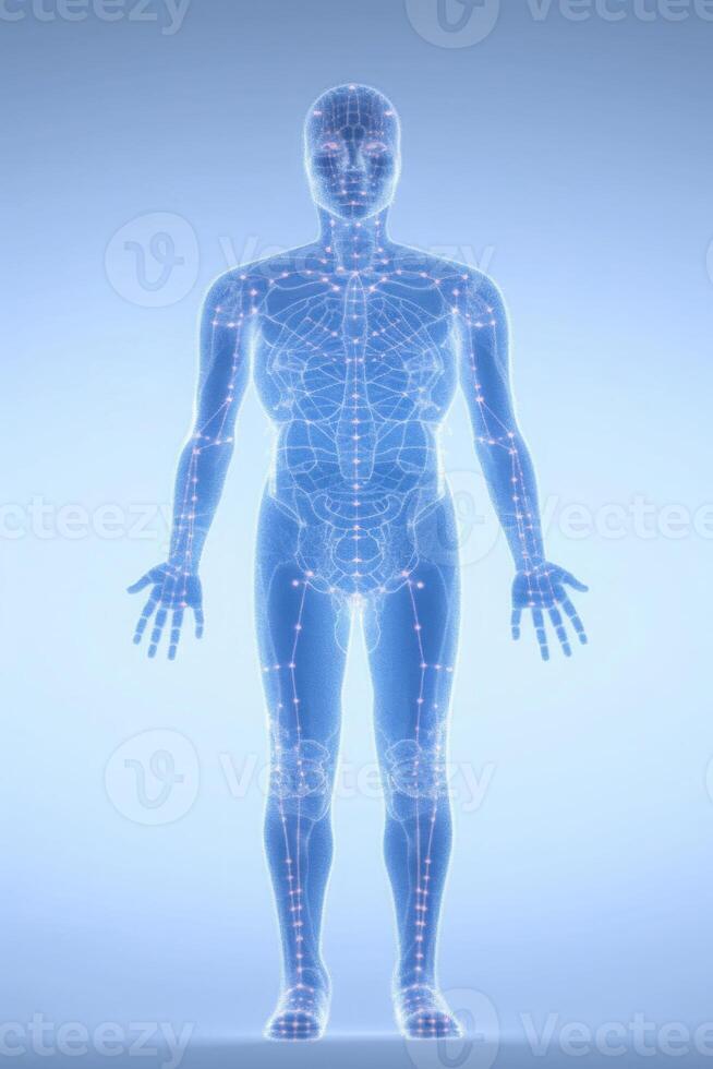 Human body silhouette with energy points. Anatomical model. photo
