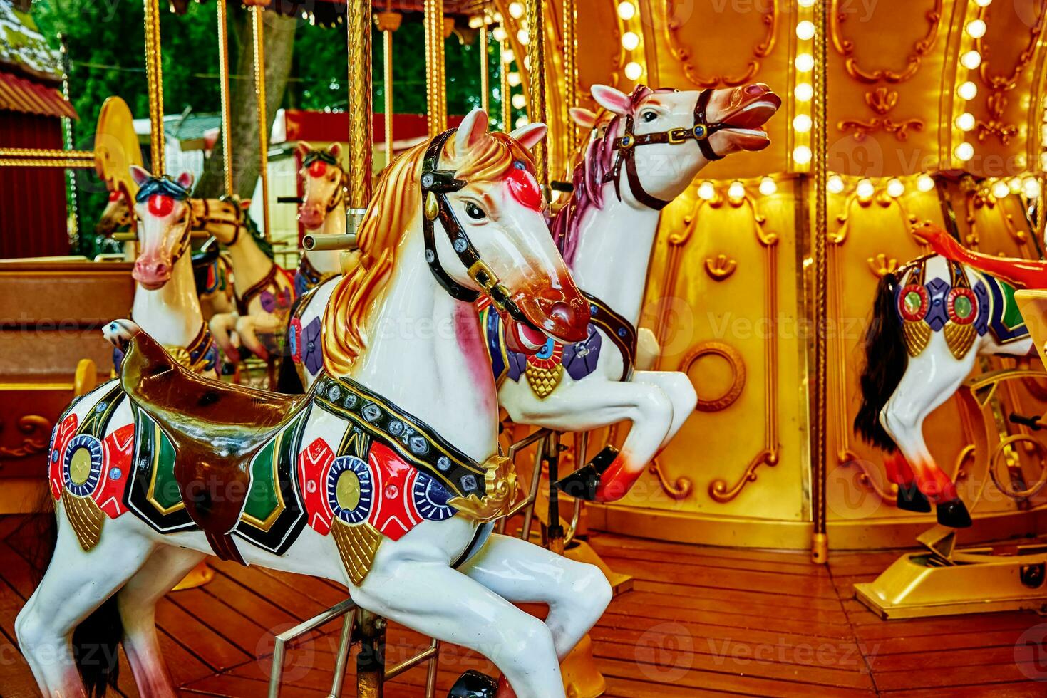 Horse carousel at amusement park photo