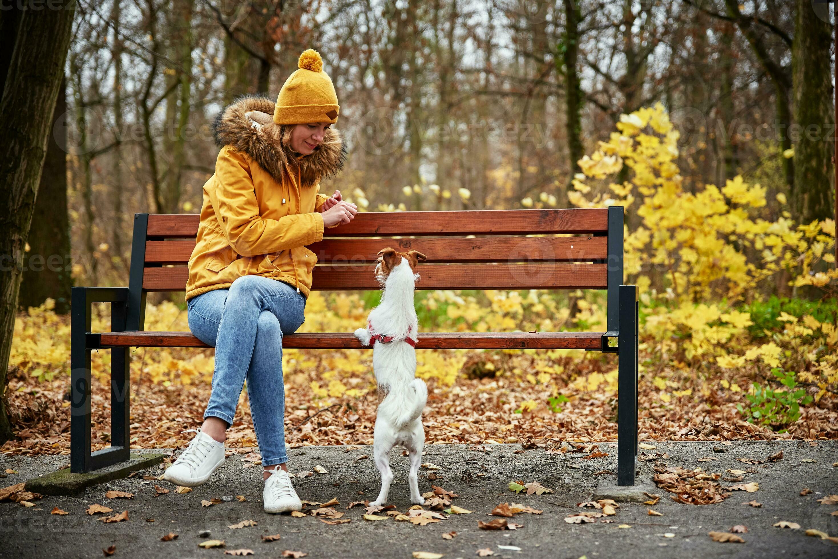 Woman with dog walk in autumn park 25478581 Stock Photo at Vecteezy