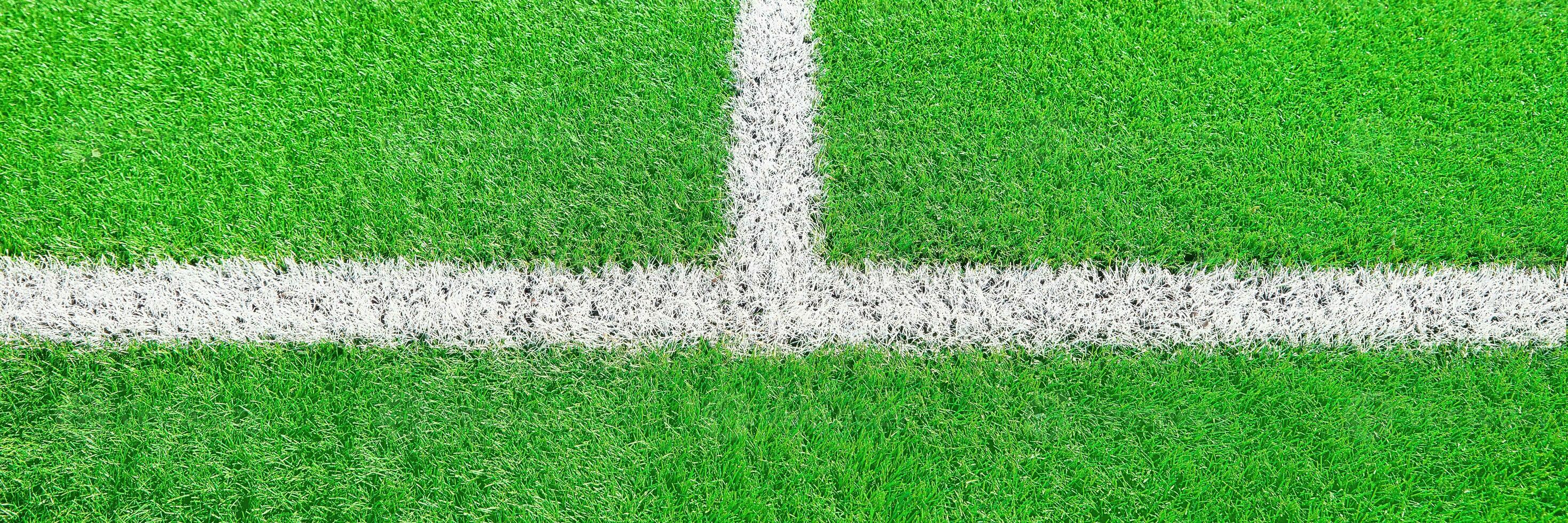 Green grass on sport field with white line photo