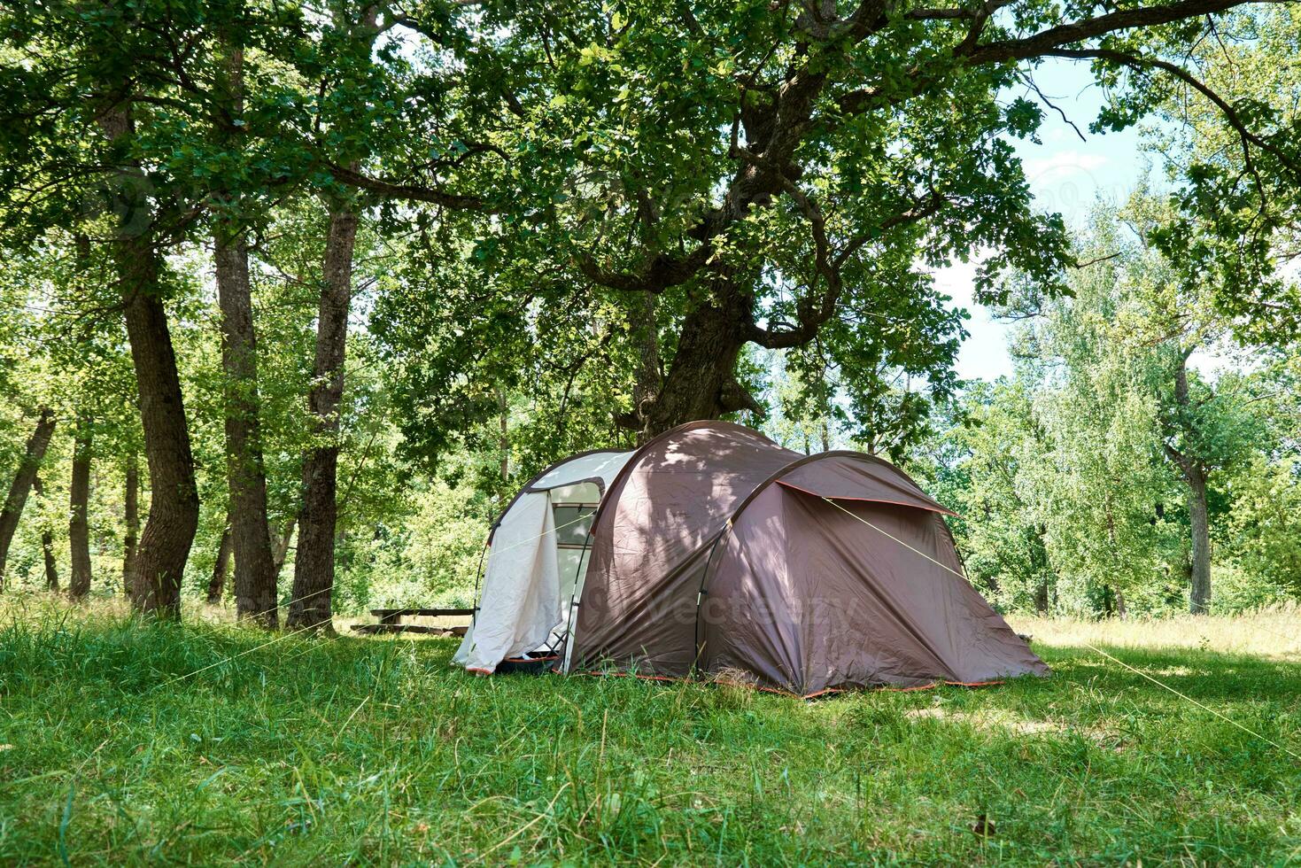 tienda de campaña en un bosque de pinos en un día de verano. campamento turistico foto